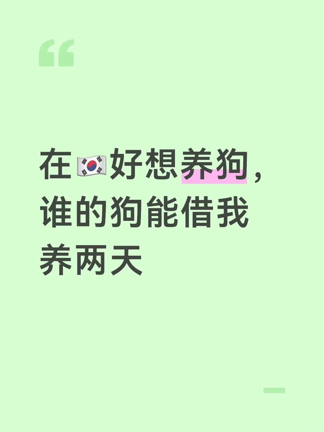 谁能在🇰🇷借我养两天狗封面图