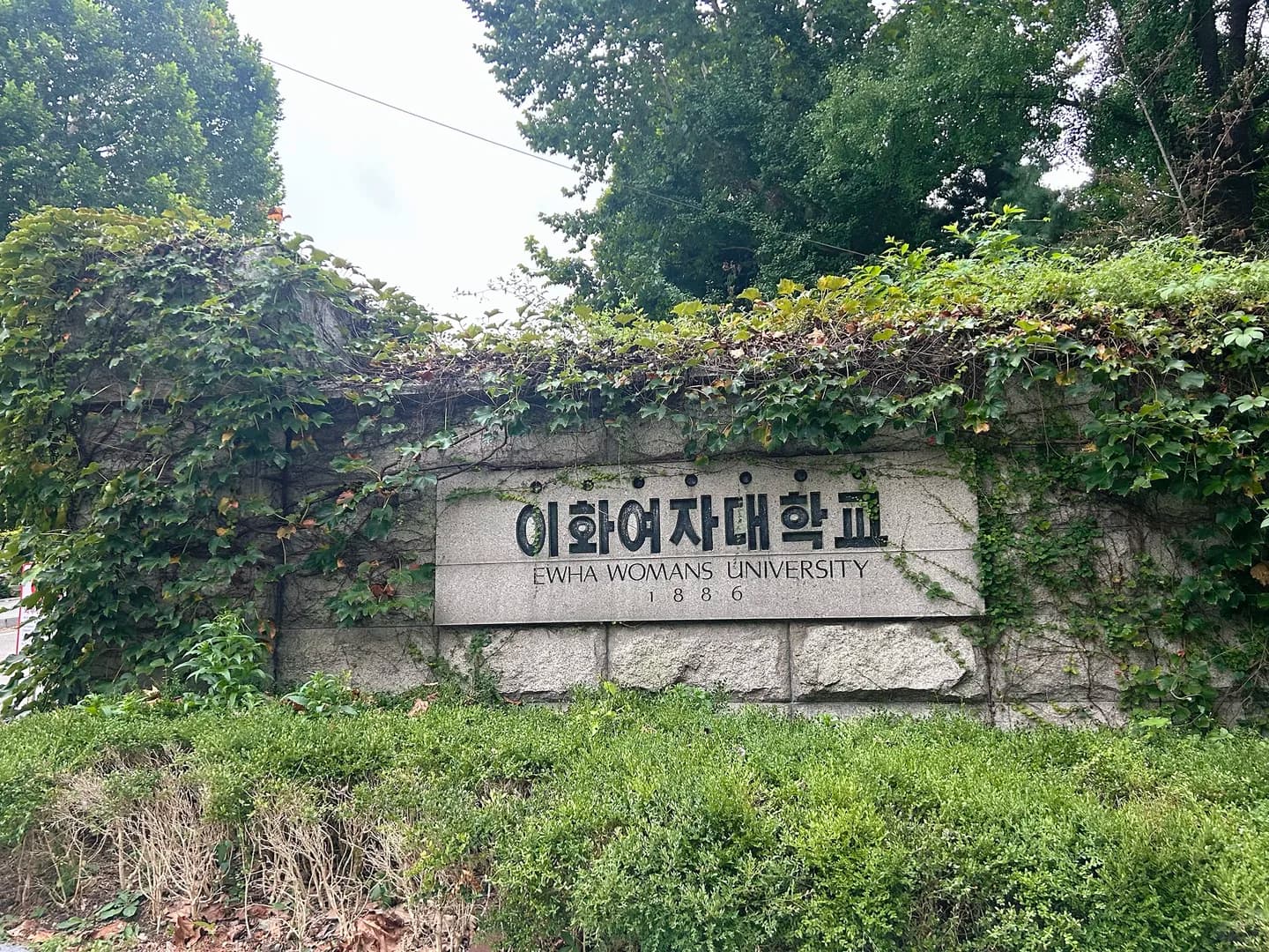 求助伟大的小红书 求多推!封面图