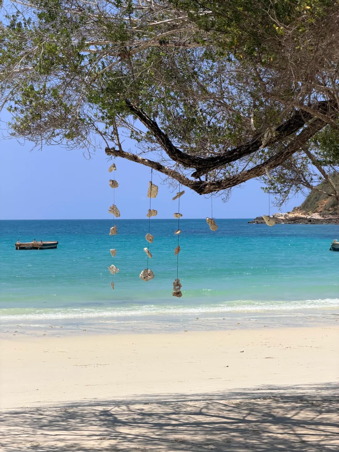 离曼谷最近的玻璃海🏝️沙美岛太适合躺平了封面图