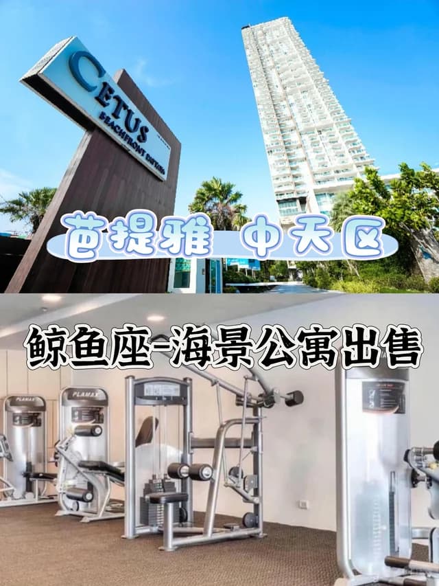 🏖️490万铢！中天鲸鱼座公寓一线海景出售封面图