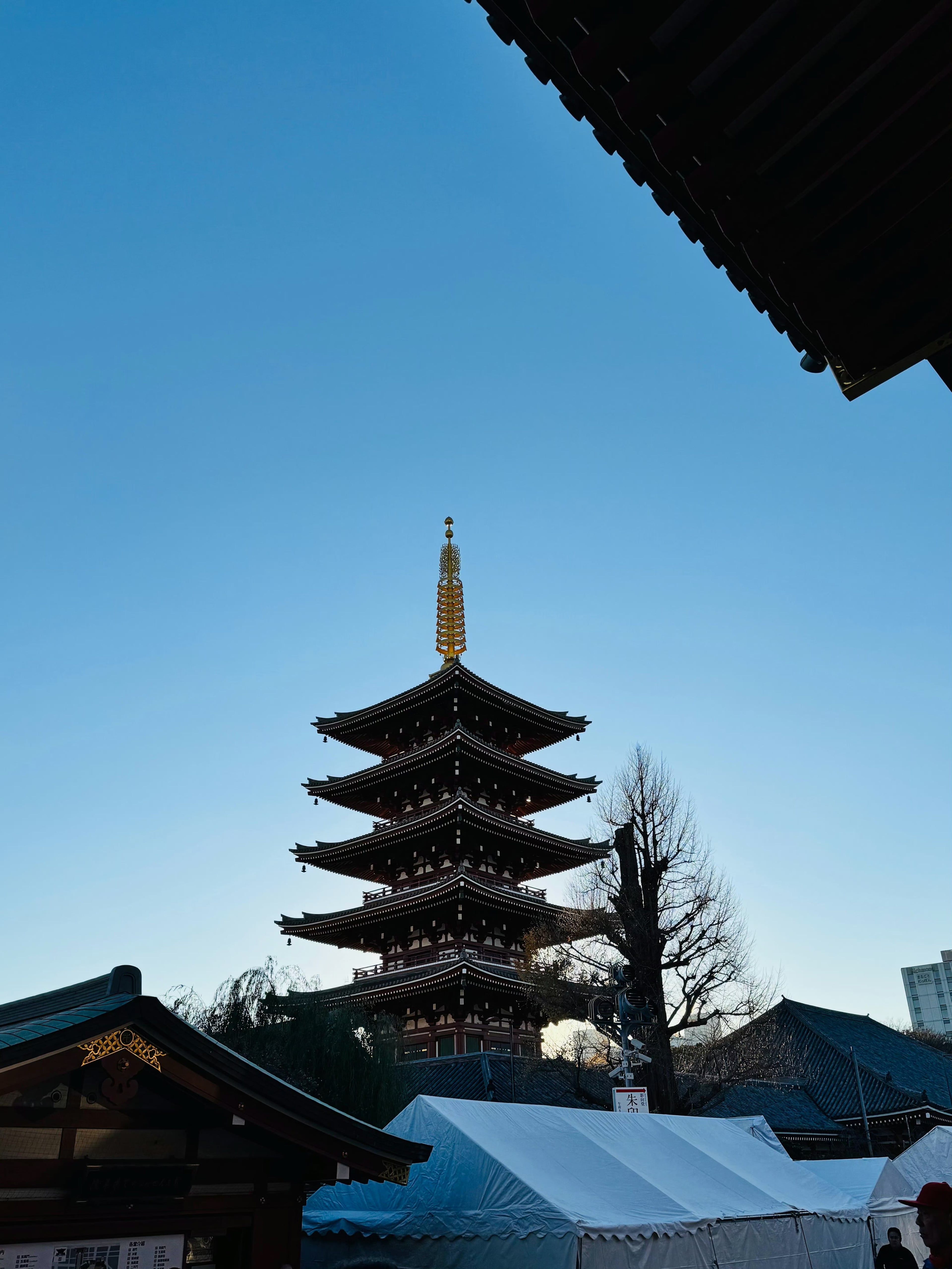 东京浅草寺五重塔的蓝调时刻｜黄昏前最后的静默