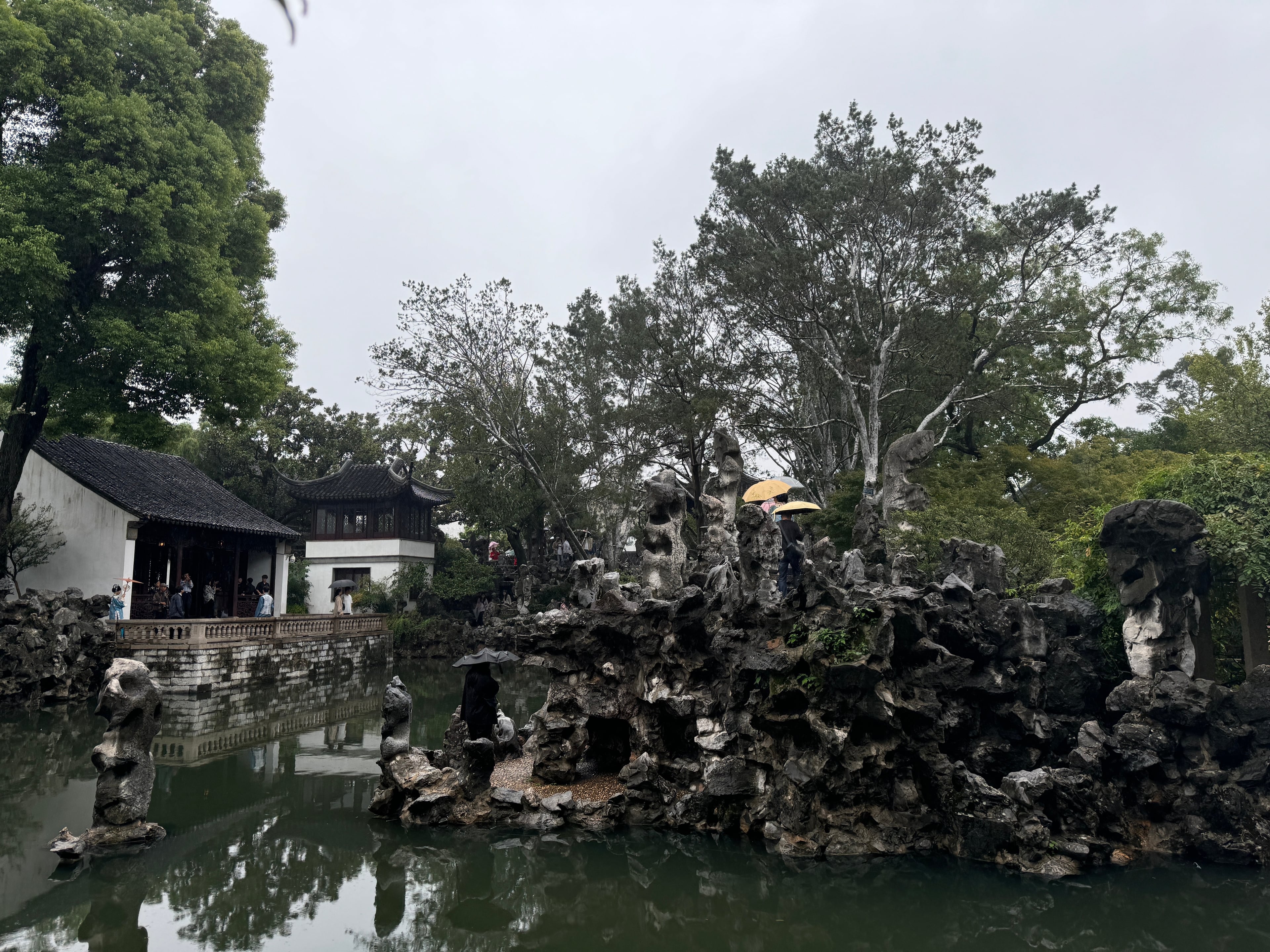 雨天逛拙政园，伞下撑起江南的诗意｜白墙黛瓦+太湖石=中式浪漫天花板