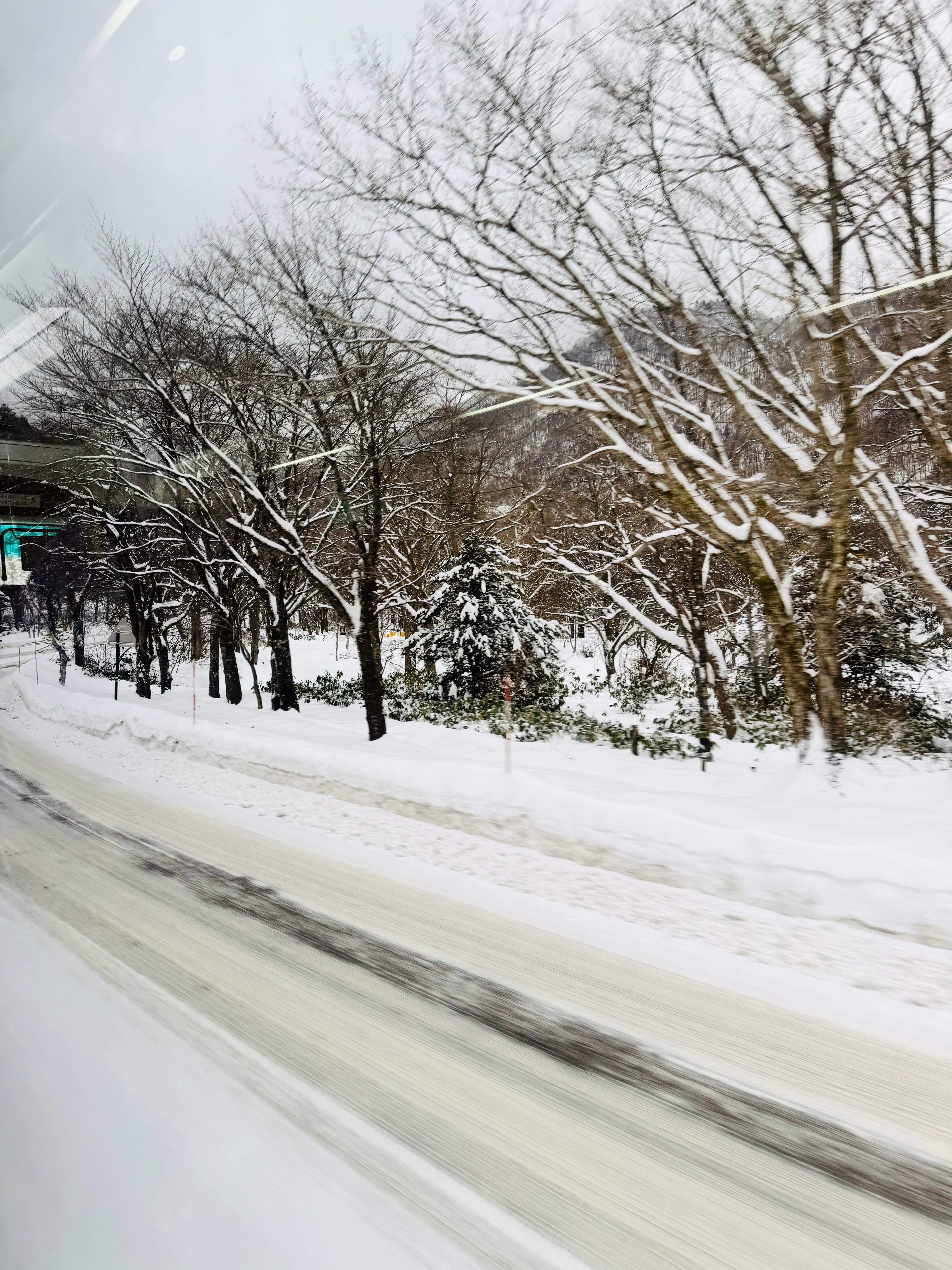 窗外雪景刷屏朋友圈，我却在车里默默数树杈…谁懂这种冬日浪漫？