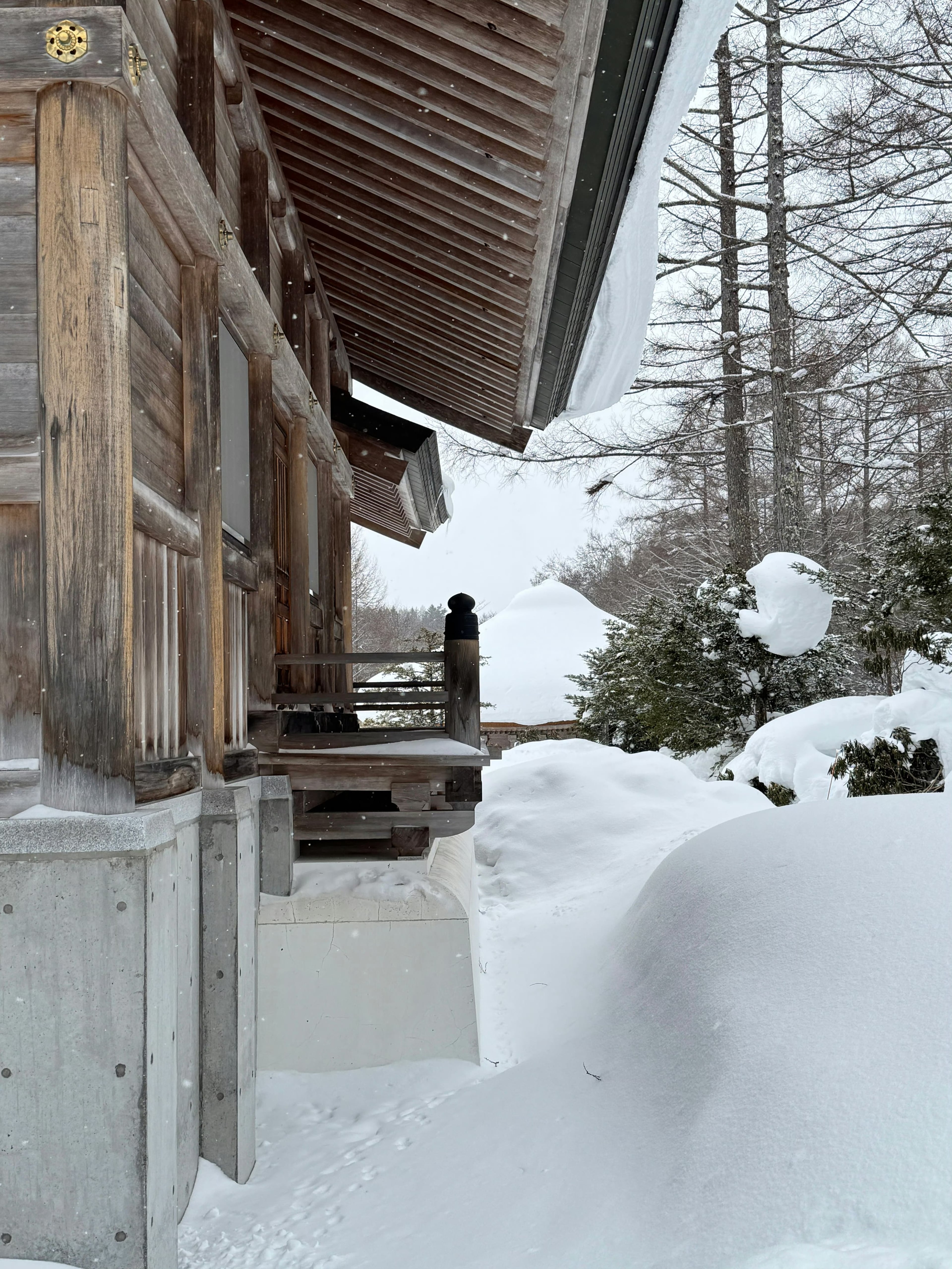 雪天蹲在神社门口发呆，连脚印都怕踩坏这帧静止的水墨画