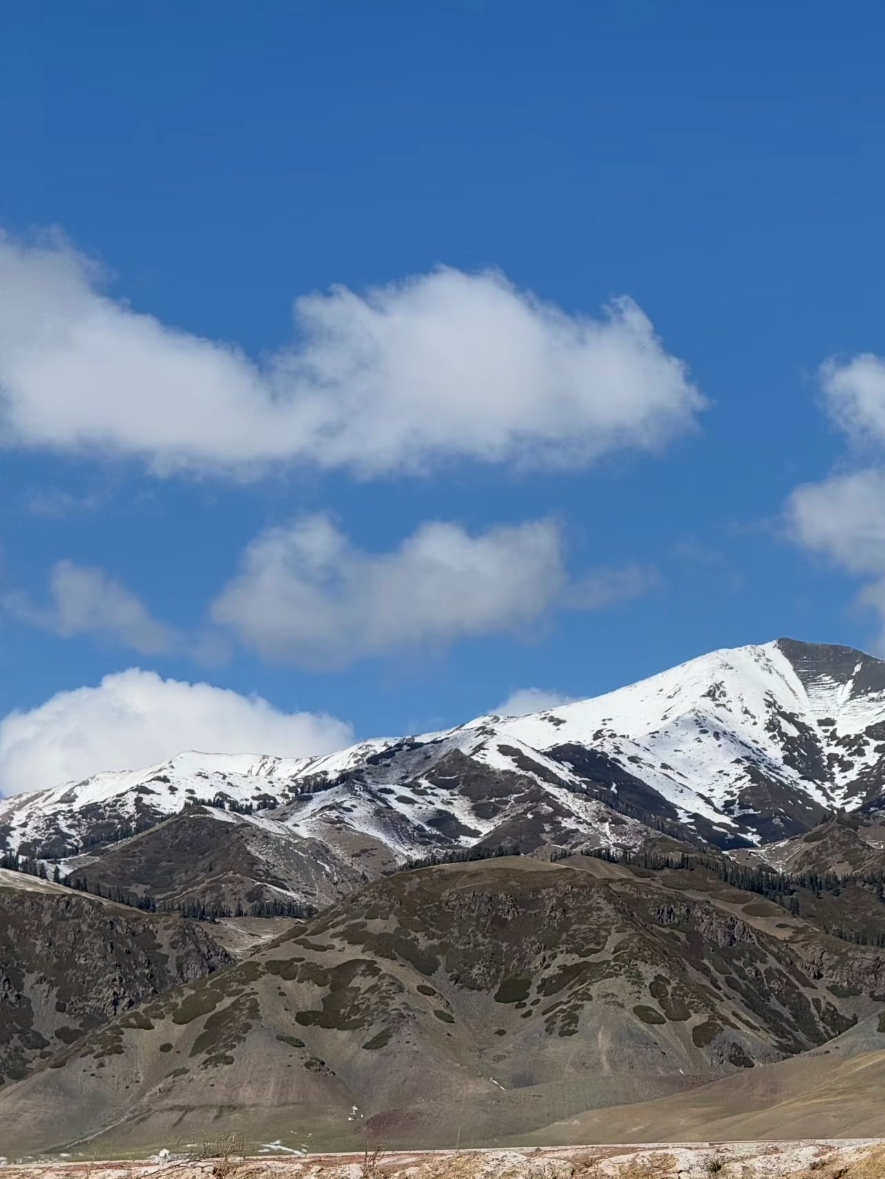 新疆伊犁的山，雪还没化完，风一吹云就跑得比人还快～