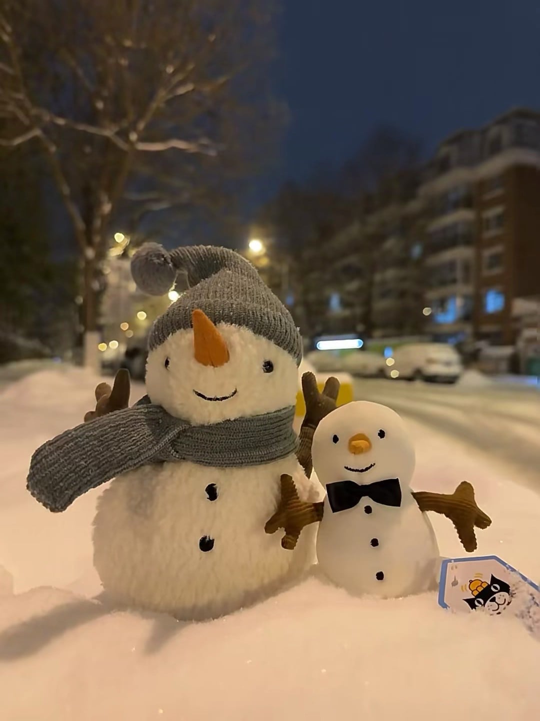 雪夜偶遇俩小雪人，一个戴毛线帽一个系黑领结～