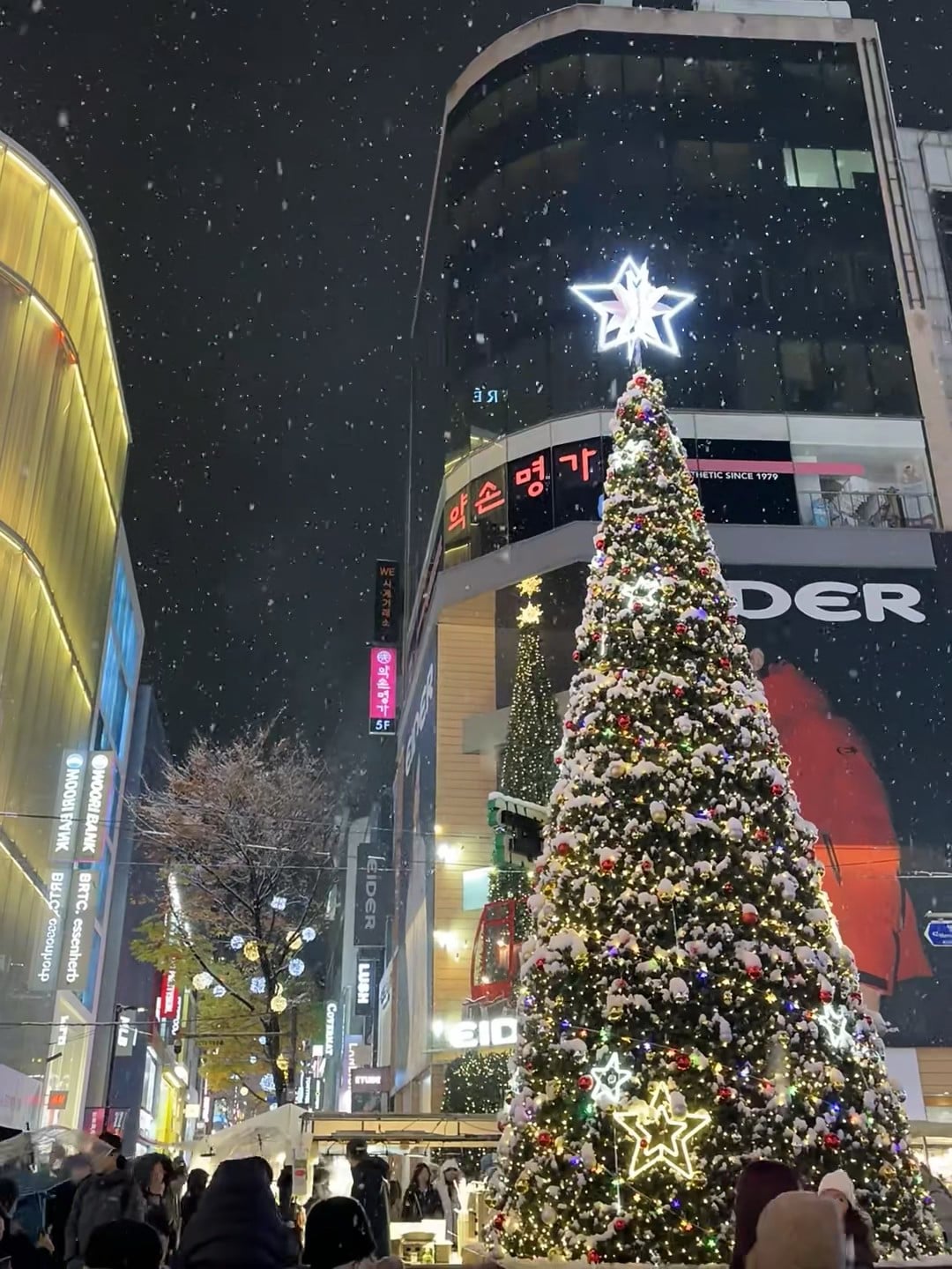 雪夜的圣诞树突然开始下雪了…好想抱紧这棵会发光的松树❄️