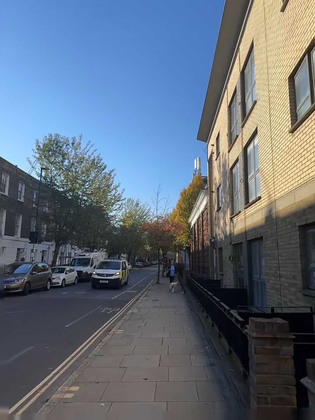 今天在Battersea的傍晚，路灯还没亮就先被这光温柔住了