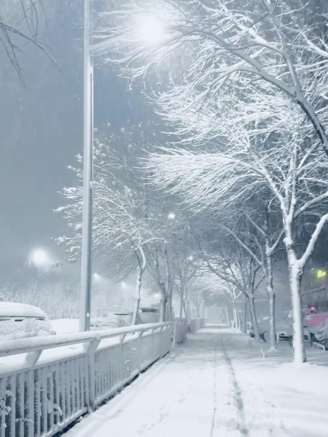 今晚的雪把路灯都染成雾凇了❄️ 通勤路直接变宫崎骏滤镜