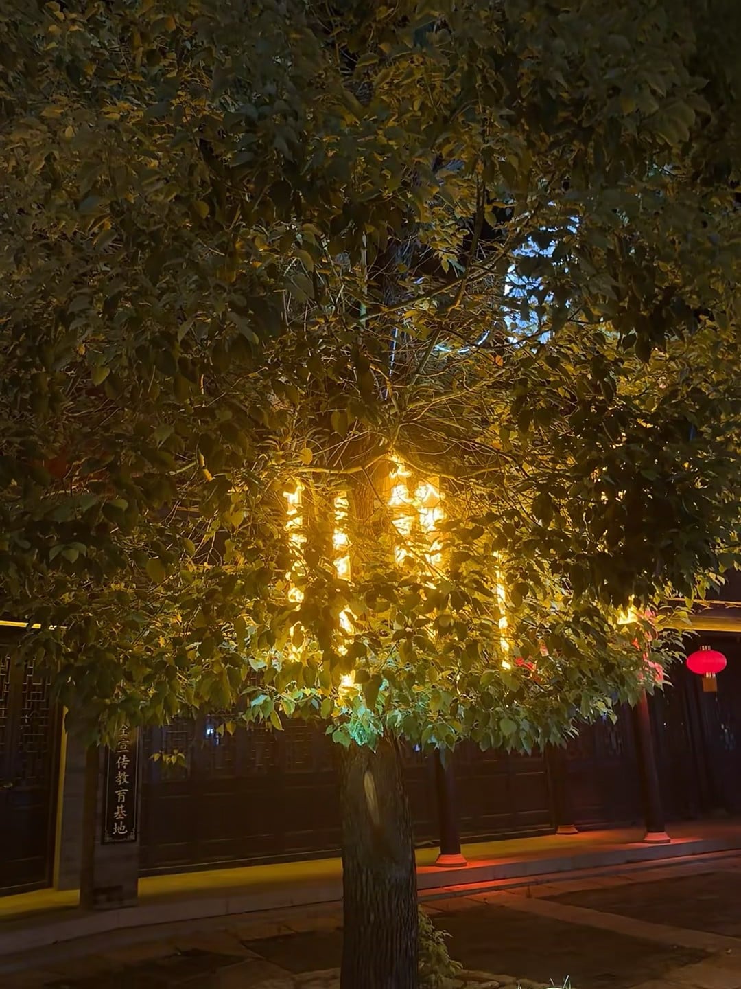 夜巡小巷，树影里藏着暖黄的光