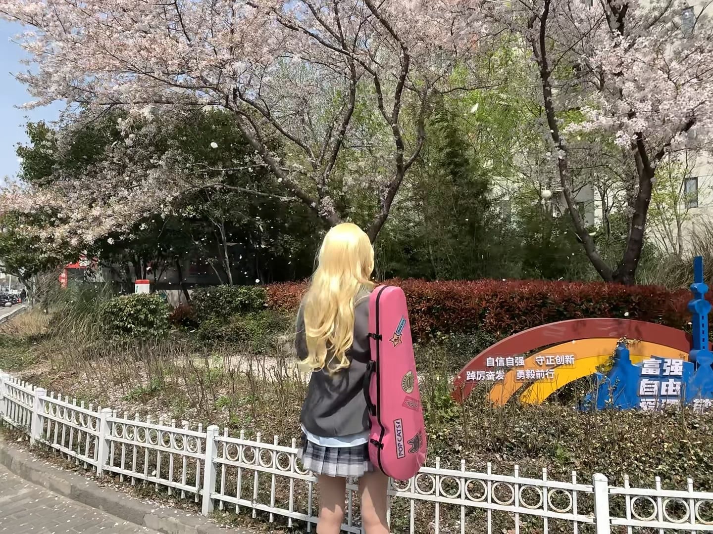 樱花季的日常：背着小提琴去公园发呆，风一吹全是粉雪