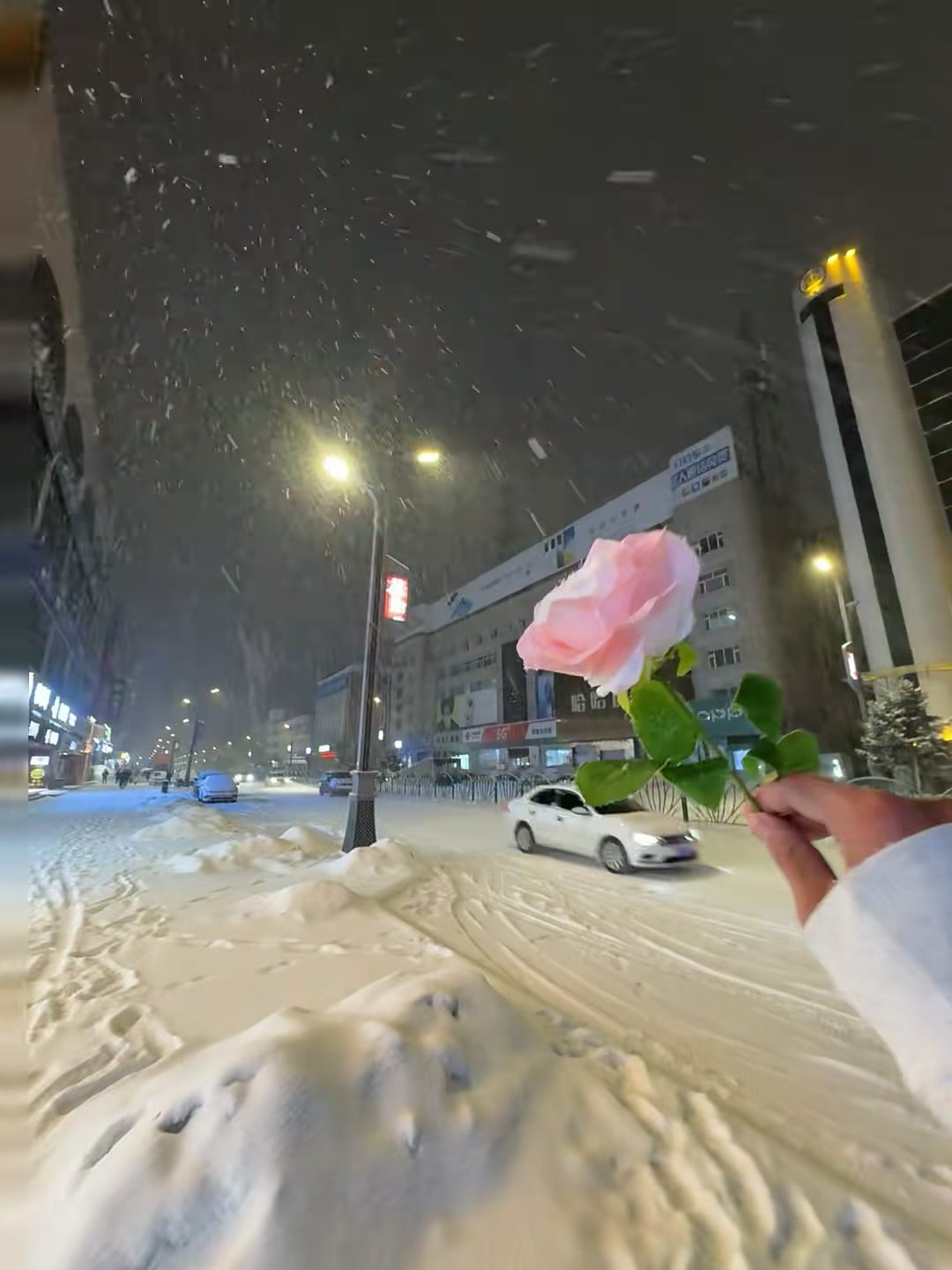 雪夜街头突然被这朵粉玫瑰击中了…今天在人民路等红绿灯时，车流里飘着雪花，手一抖就举起了它