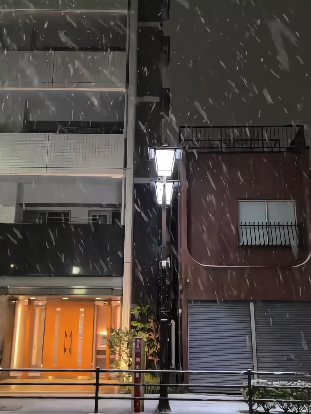 今晚的雪，把街角路灯照得像颗糖