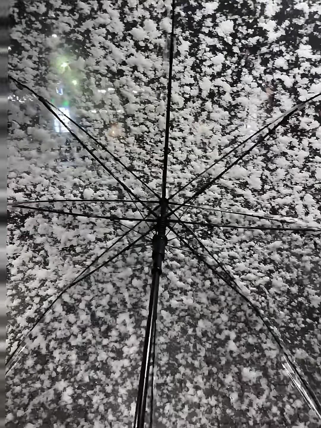 雪天撑伞的瞬间，像在看一场无声的漫才