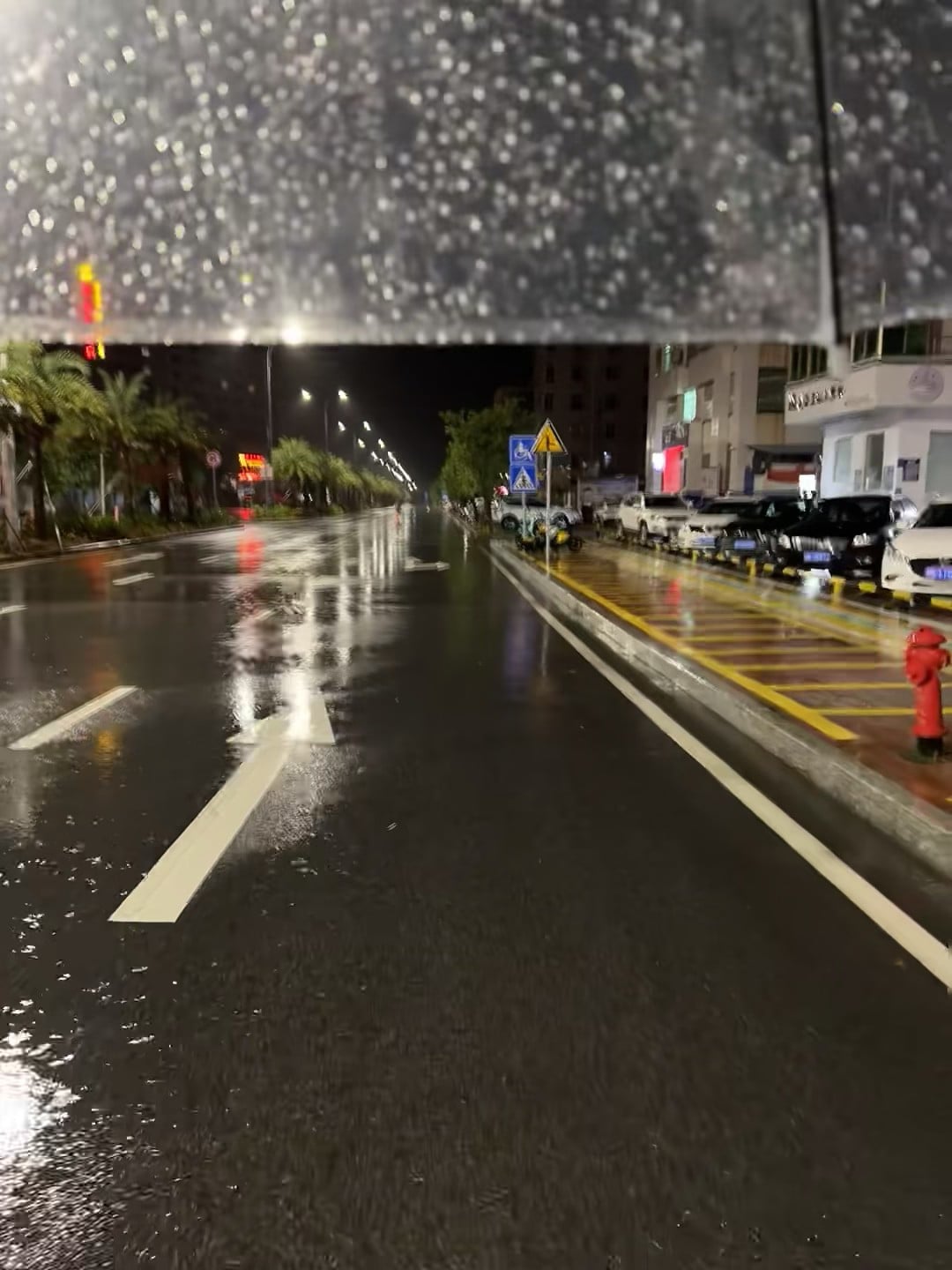 雨夜骑车路过，路灯在湿漉漉的路面上画出光的河