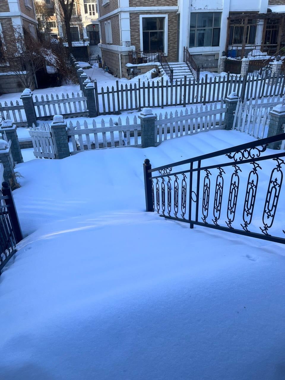 雪后小区步道，连铁艺栏杆都开始营业了❄️