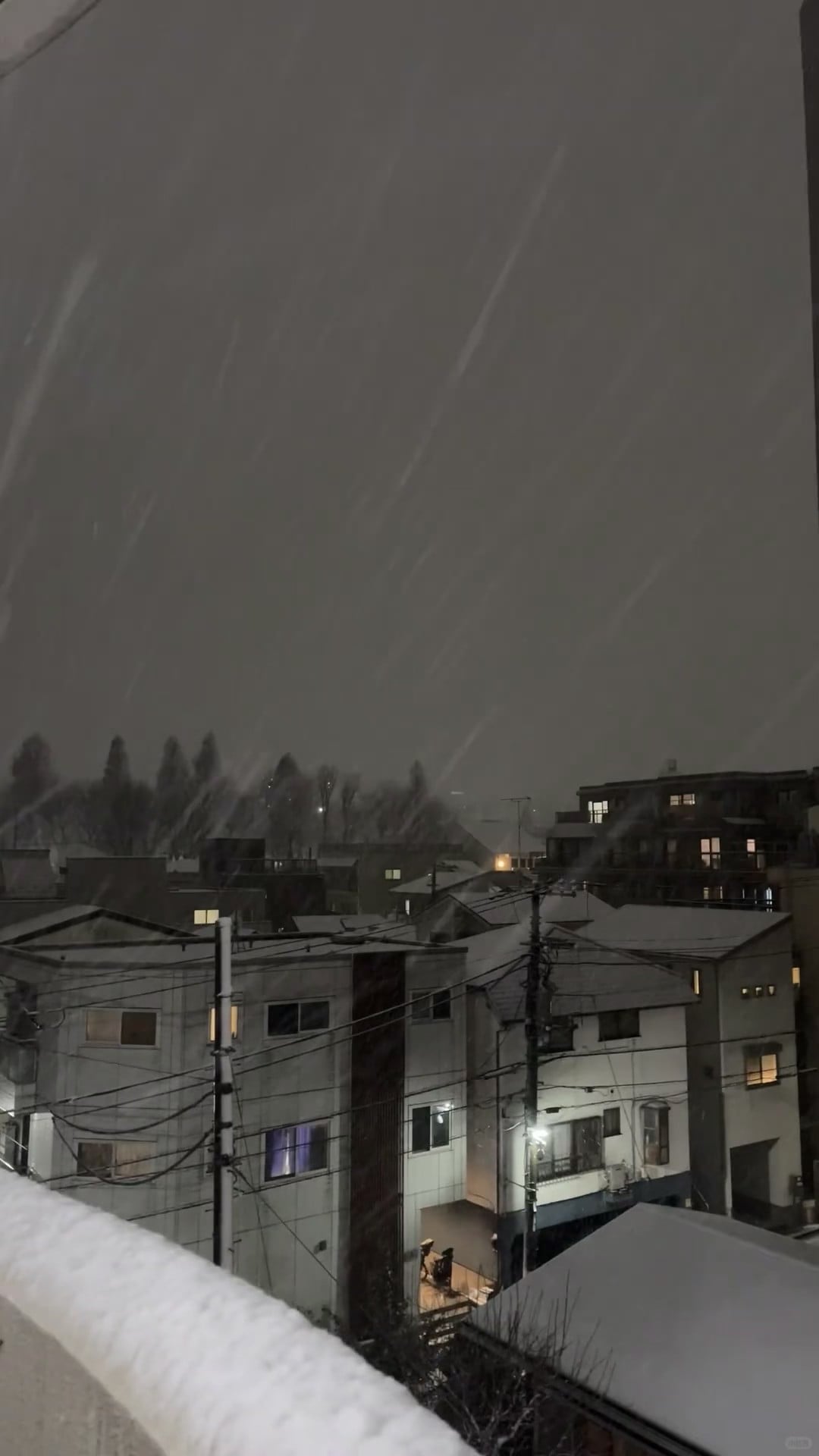 今晚雪下得像被风吹乱的纸片，连路灯都懒得直着站了
