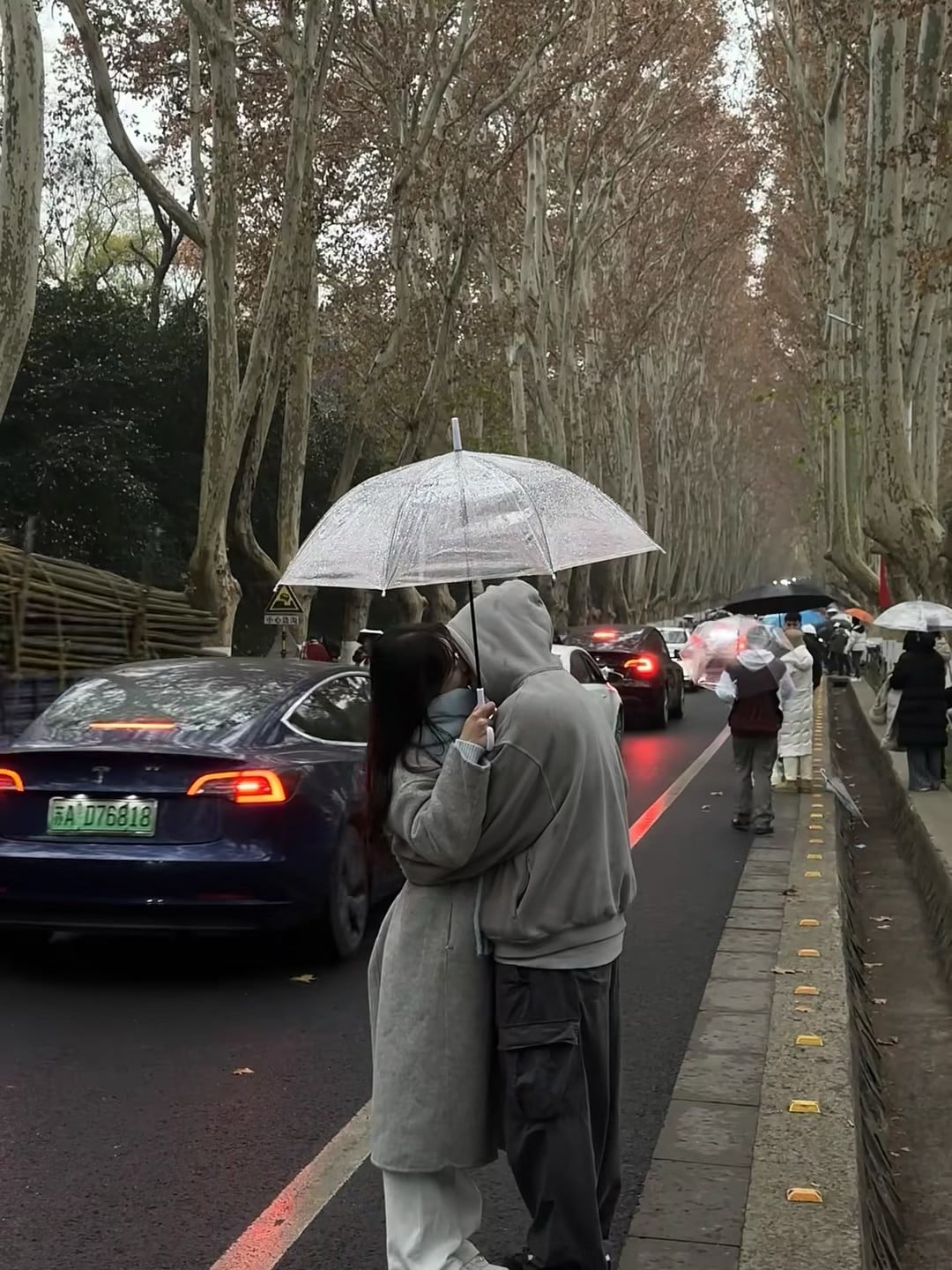 雨天路透｜路过梧桐大道，突然被这对小情侣甜到打滑～