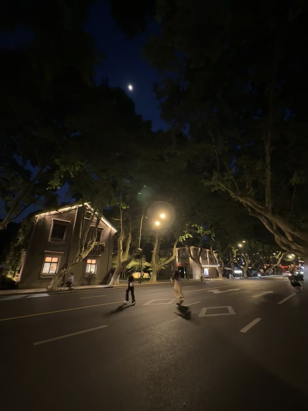 夜跑路过老洋房，月亮刚好卡在树梢上✨