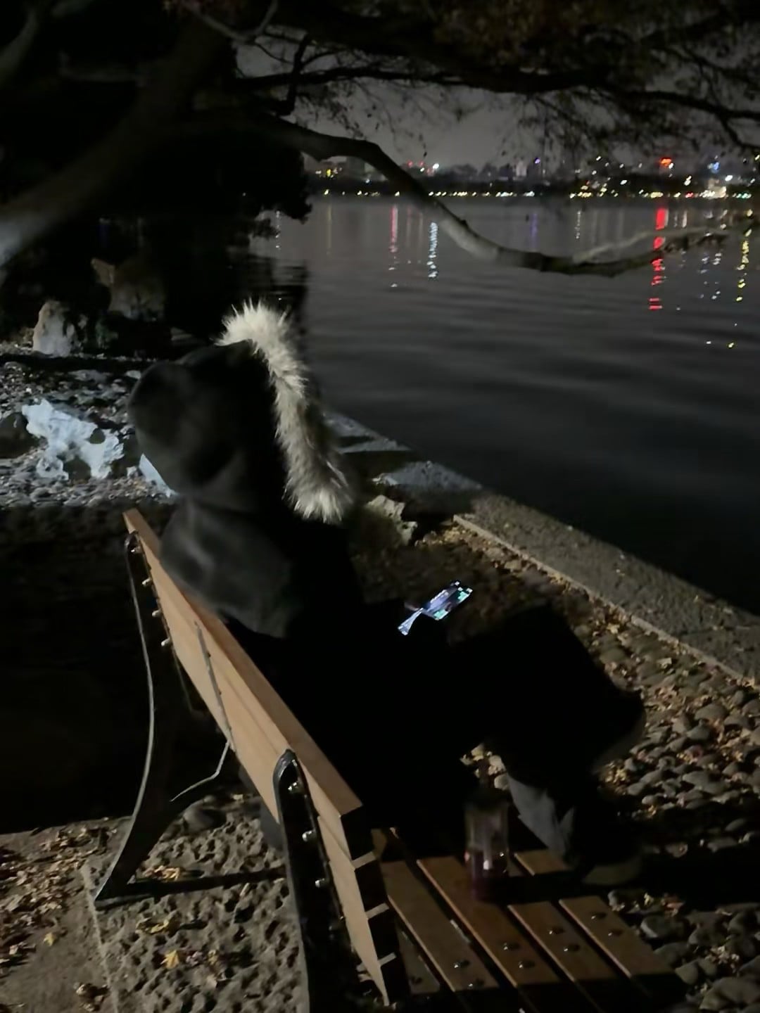 深夜湖边长椅，手机电量比心还亮