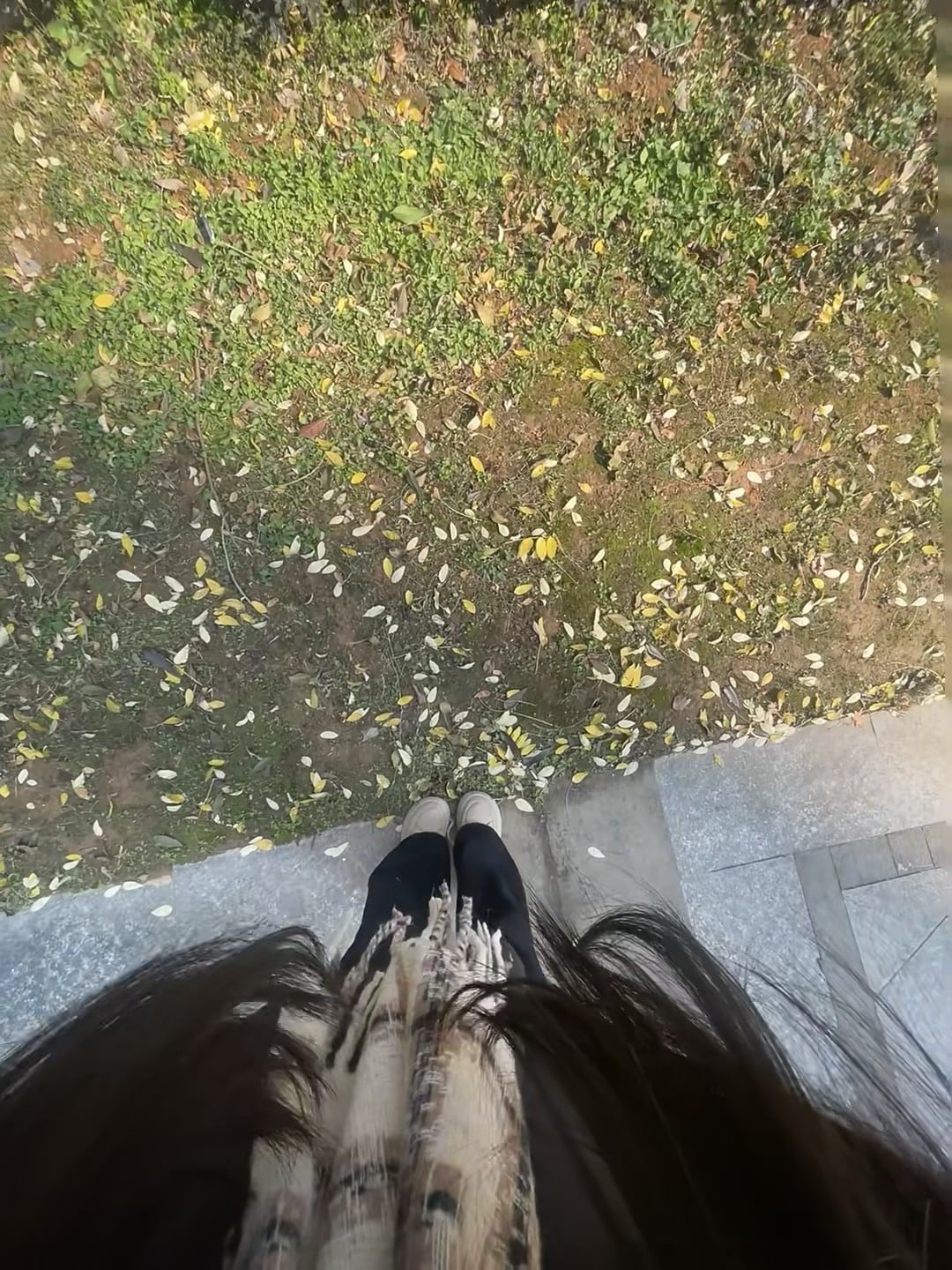 秋日散步的脚尖，踩进满地金黄落叶里✨