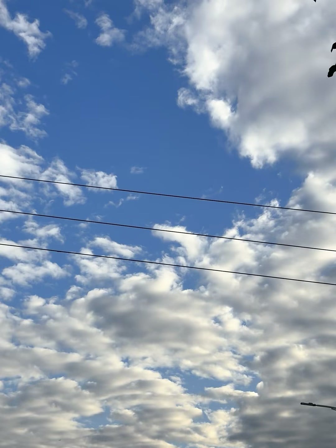 今天天空在玩云朵叠叠乐☁️ 通勤路上抬头三秒，电量瞬间回满