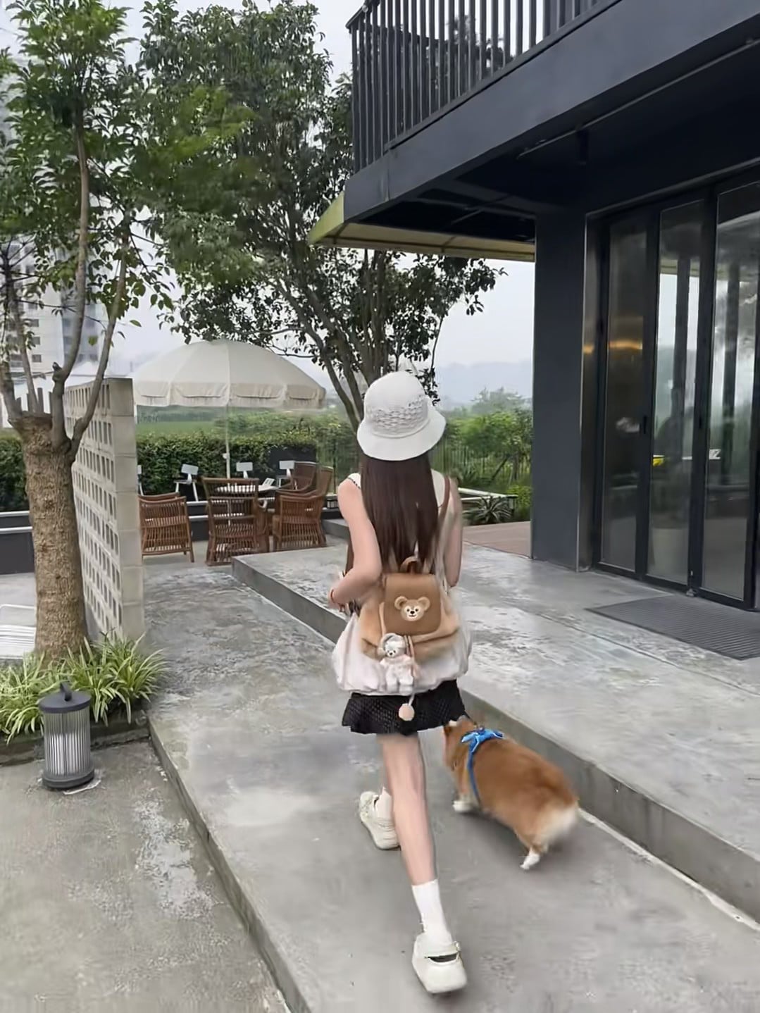 雨天遛狗也要仪式感～新买的草帽终于派上用场了