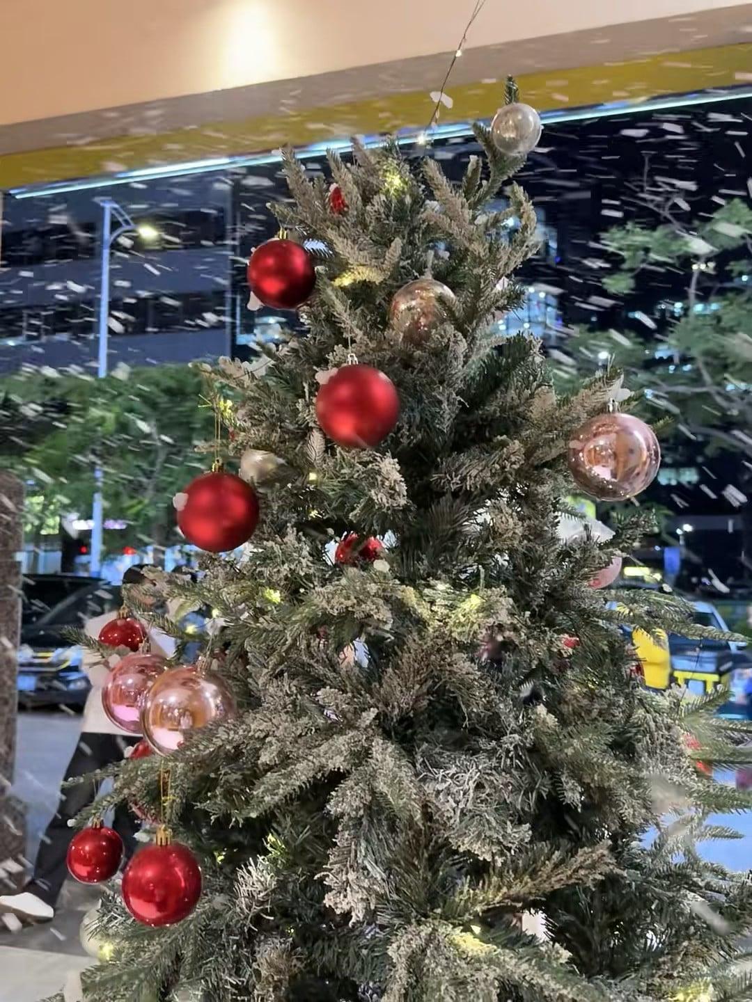 圣诞树下飘雪，但外面是黑的…在商场里假装过冬❄️