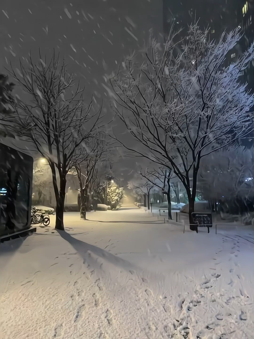 今晚的雪，把整条街都揉成了奶油蛋糕～