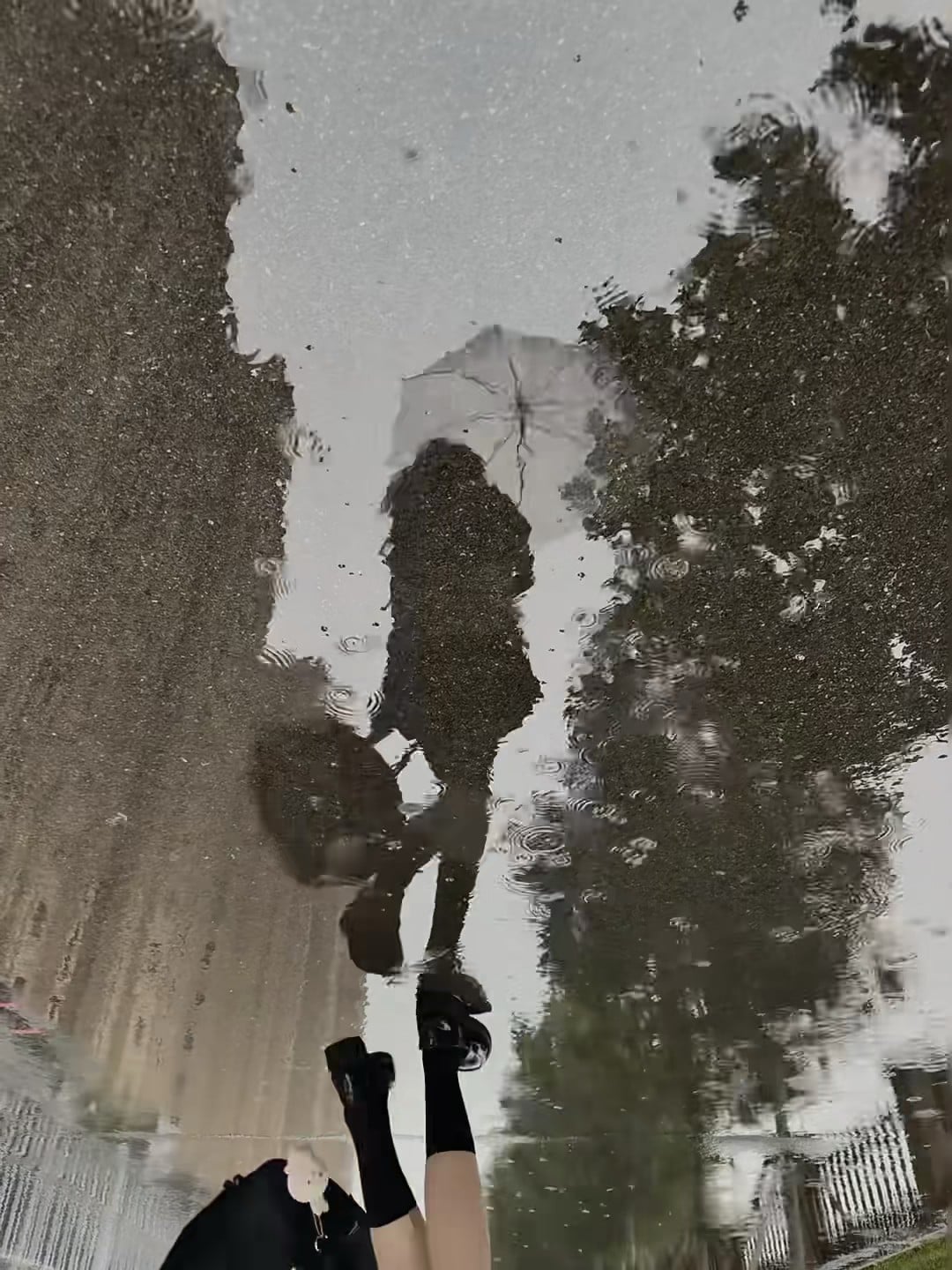 雨天蹲在路边看倒影，像在拍一部默片电影 🌧️