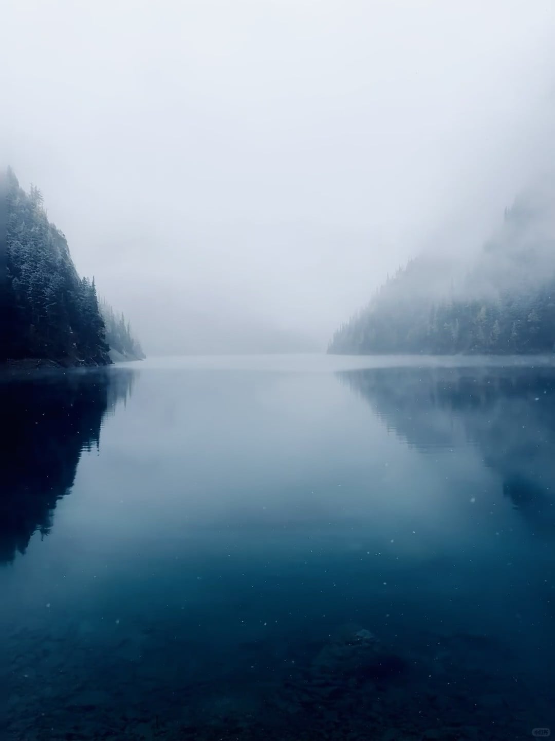 雾里看湖，像闯进《哈利波特》的禁林边缘｜今天在Lake Louise刷屏了