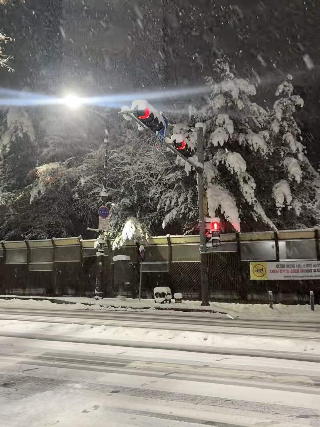 雪夜路口红灯亮着，像被撒了一把糖霜的松树