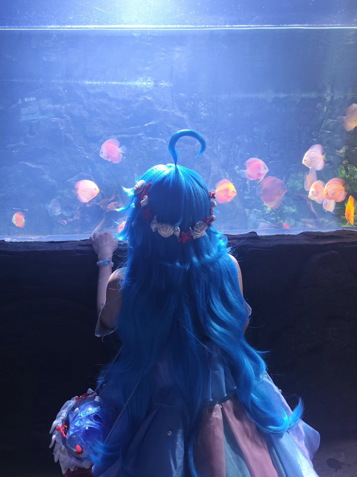 蓝发小美人鱼在水族馆发呆，连鱼都怕她抢了C位 😅