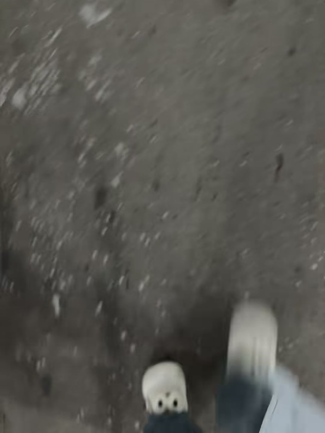 雪后通勤，鞋底粘了整片小雪花❄️