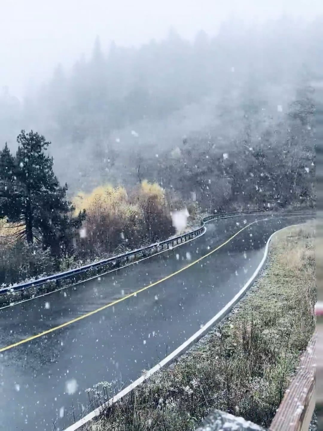 雪天开车路过山弯路，像开了场电影滤镜｜今天在The Ridge Road