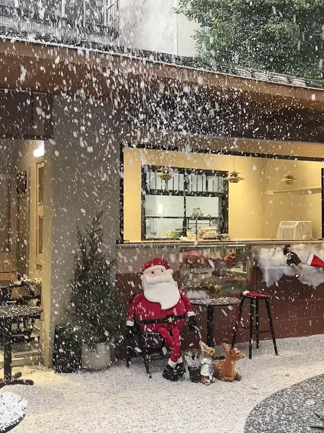 今天在街角咖啡店被雪砸懵了…圣诞老人坐不住了