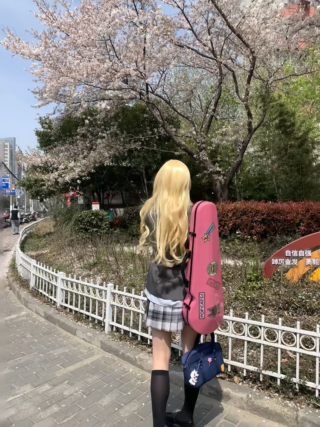樱花季的通勤日常｜背着小提琴去上课，路上被风追着跑
