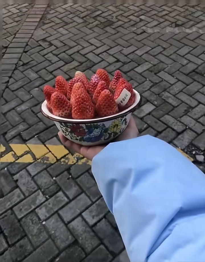 雨后街角，一碗草莓的甜度刚好