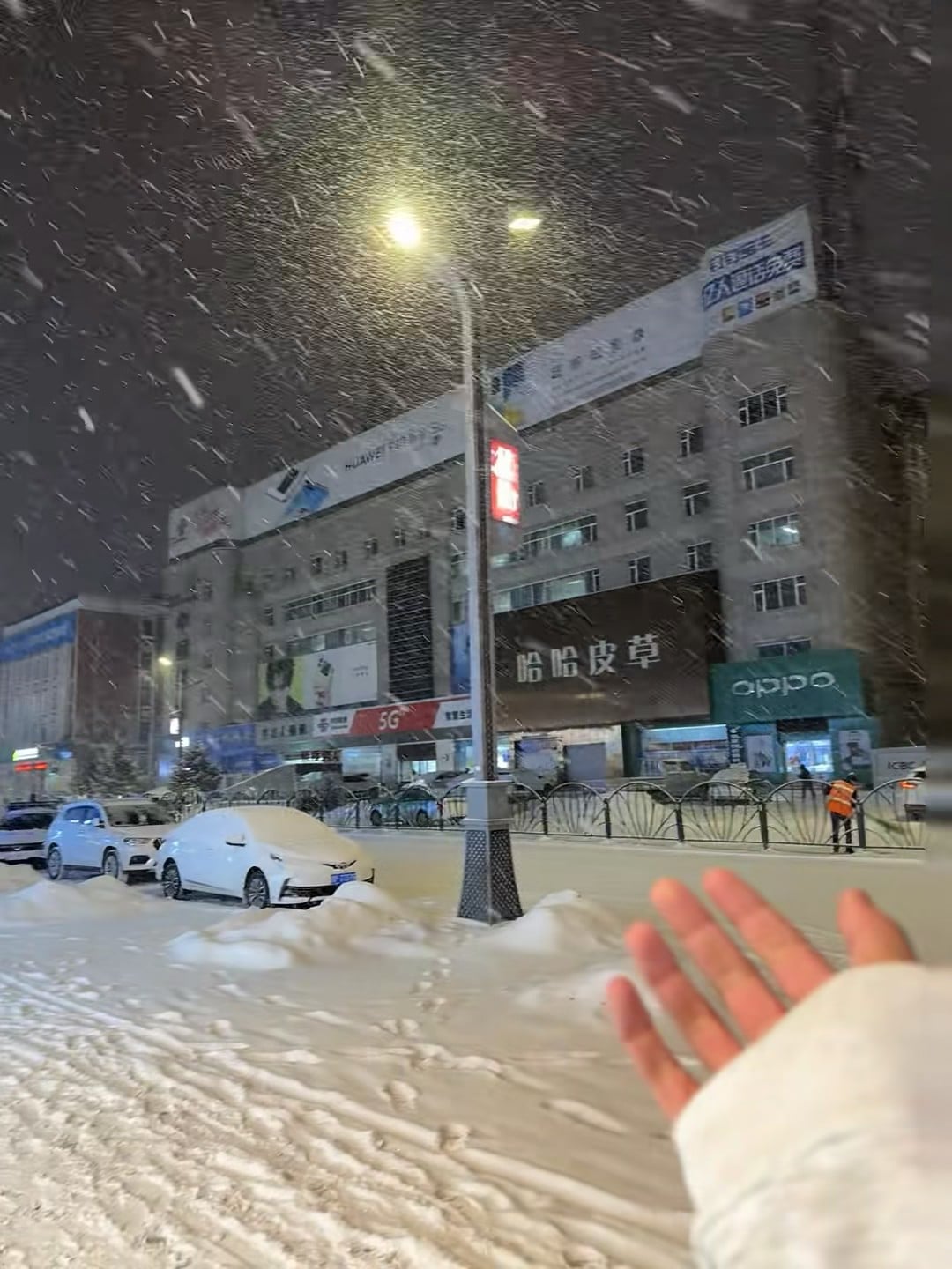 雪夜伸手接住一片雪花，这下真·北方人了❄️