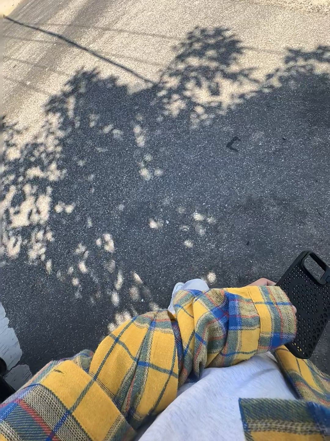 黄格子衬衫配水泥地，今天在街角等红灯时被树影偷走了一秒阳光
