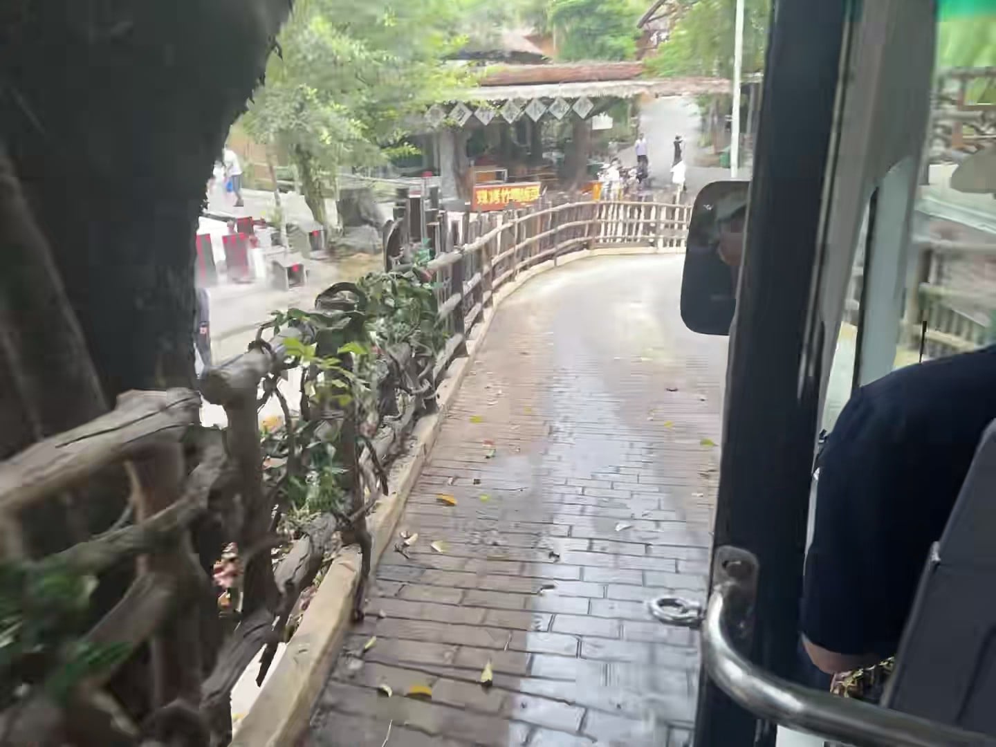 今天在动物园电车里拍的雨天小路，湿漉漉的砖头路像被水洗过一遍