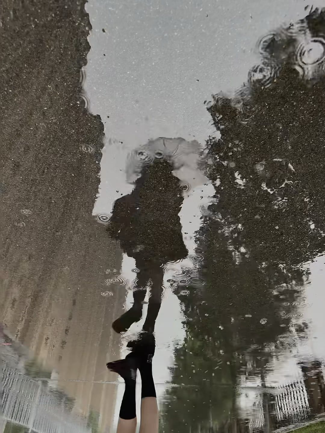 雨天蹲下来拍个倒影，像在镜子里走了一圈 🌧️