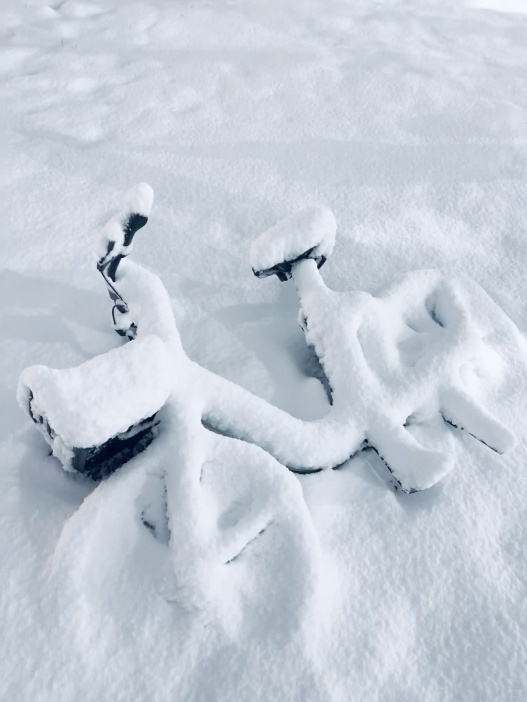雪后街角，我的小电驴被‘封印’了❄️