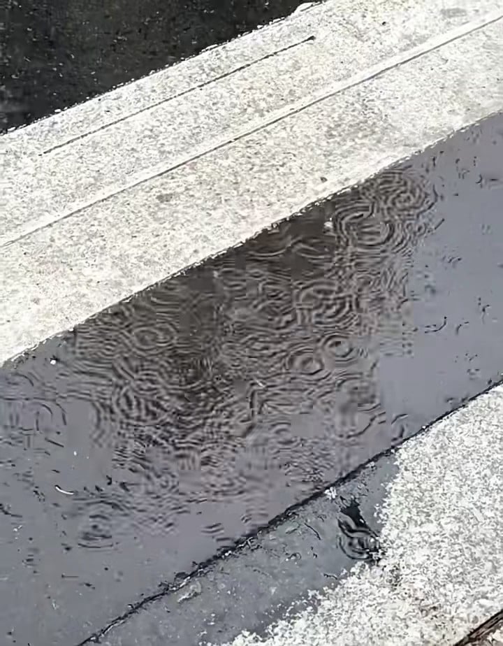 雨天的街角，水洼里全是小漩涡