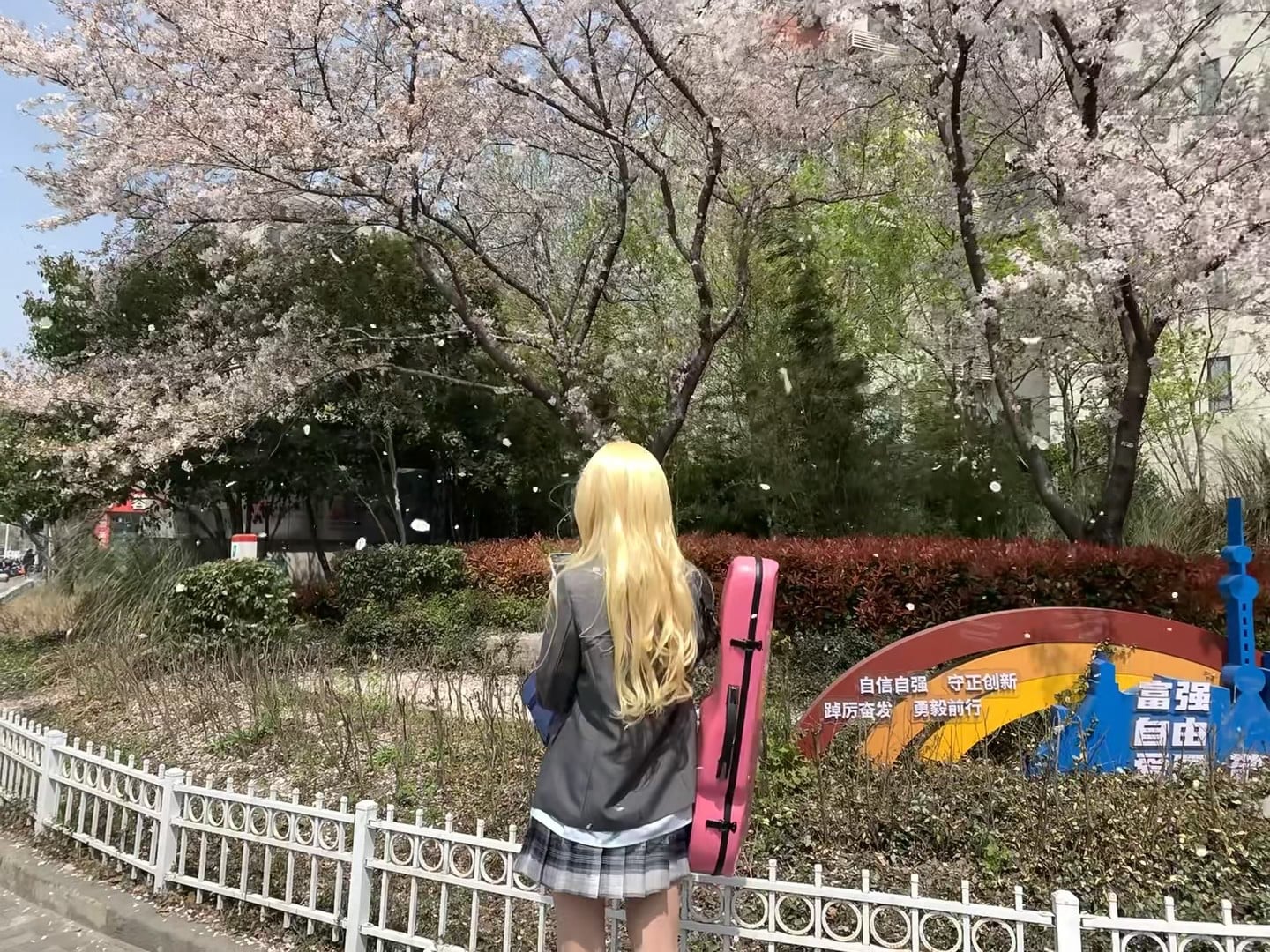 樱花季的偶遇：背琴去赴一场春日之约 🌸