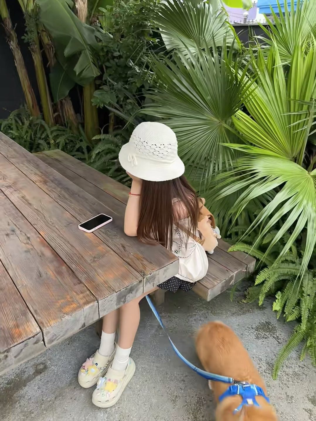 午后偷懒时间｜木桌边的毛茸茸守候 🐶