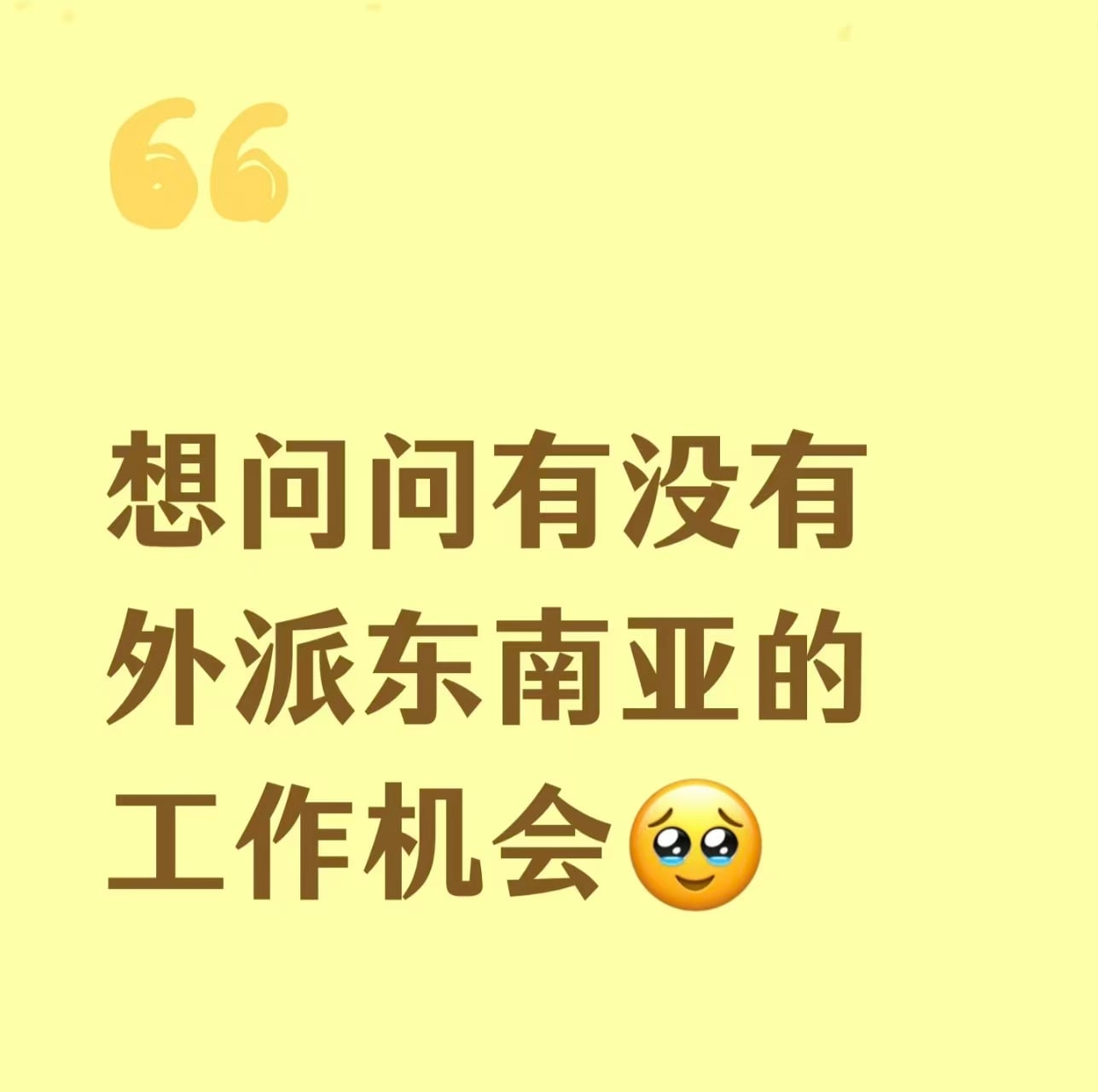 想问问有没有外派东南亚的工作机会🥺