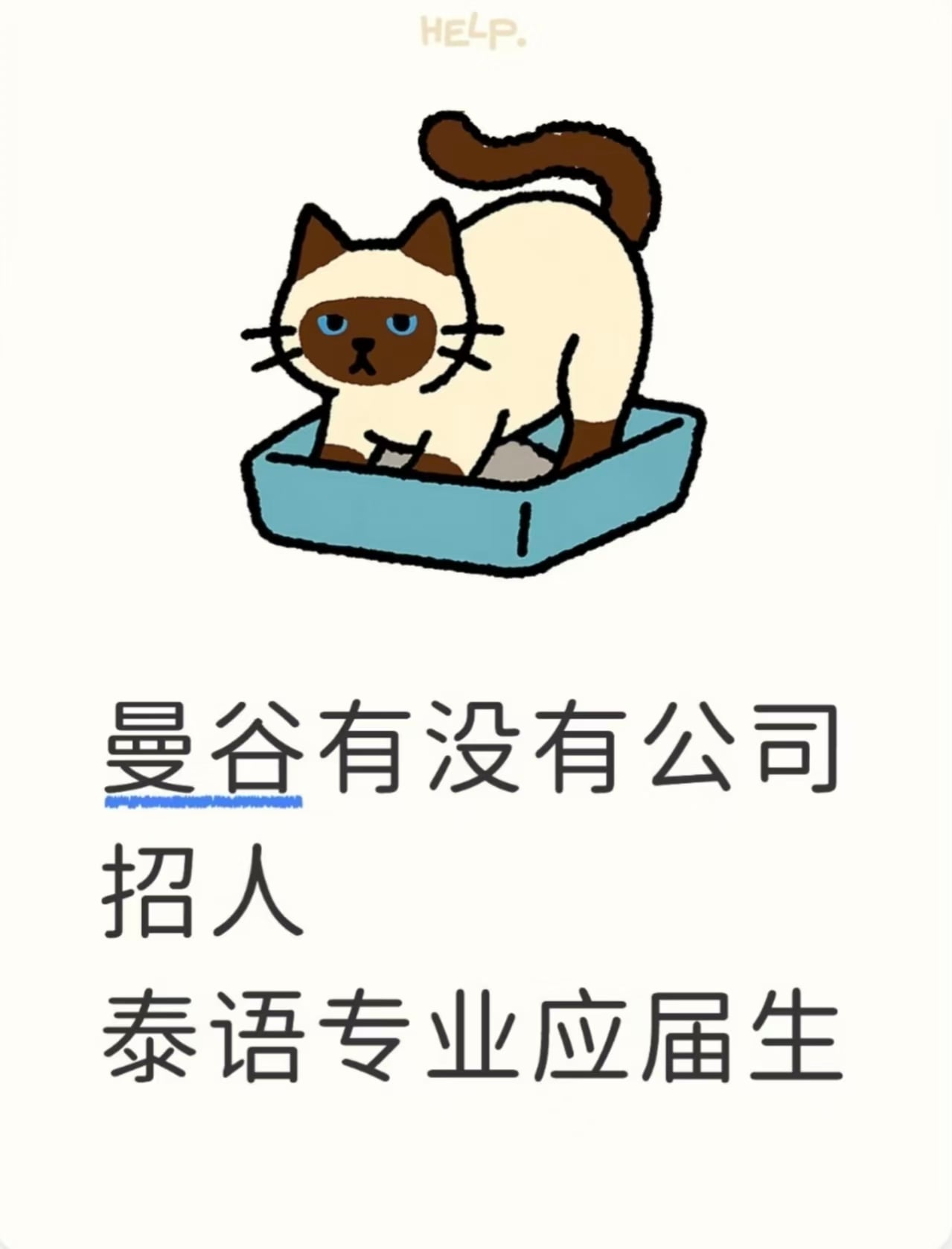 曼谷招人？泰语应届生看过来～