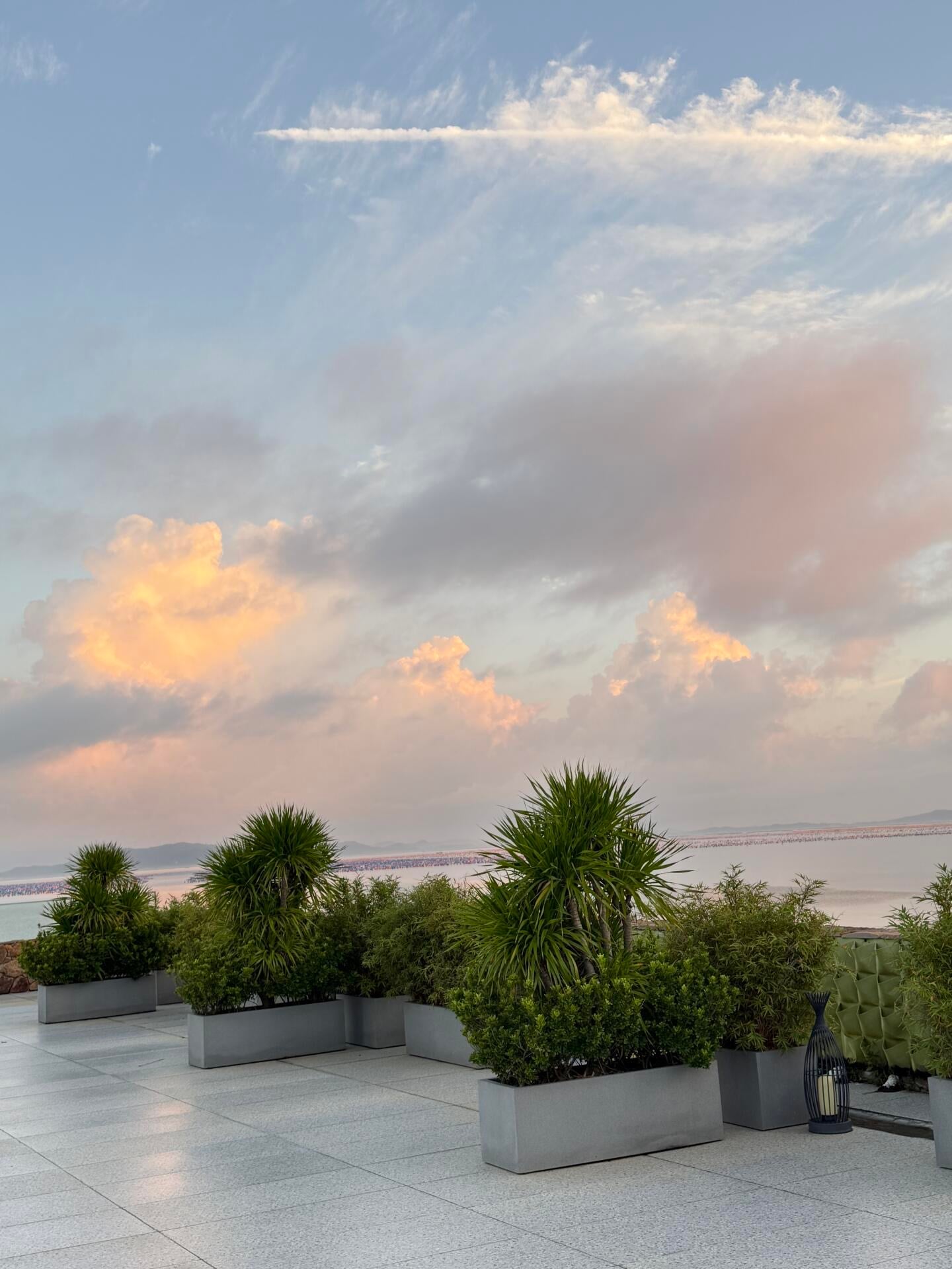 傍晚 rooftop 的云，像被风揉碎的糖霜