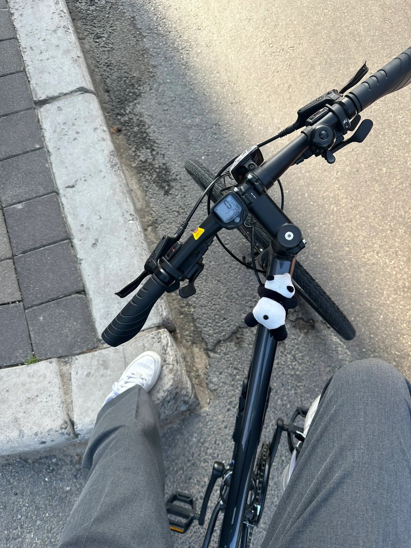 通勤暂停5分钟，车把上挂了只熊猫——今天在街角石阶边歇脚